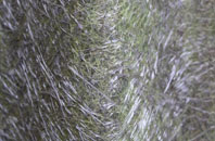 Hirael fibreglass roof work